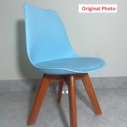 Solfa Tulip Chair  (Blue)